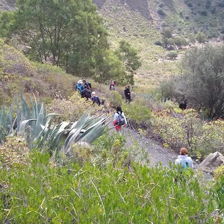 Daire Loft En La Aldea De San Nicolás
