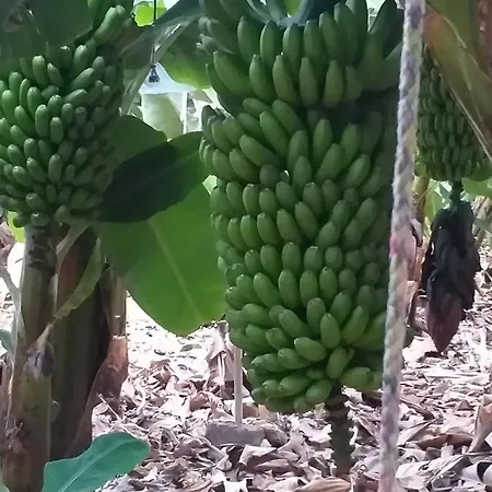 Loft En La Aldea De Apartment San Nicolás
