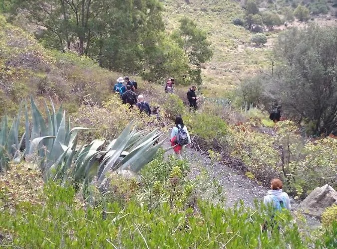 Apartamento Loft En La Aldea De San Nicolás
