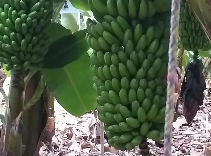 Loft En La Aldea De Apartamento San Nicolás